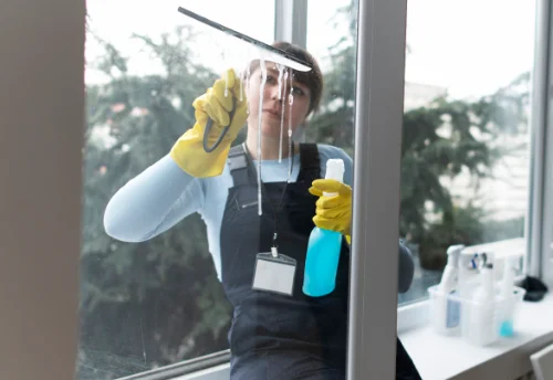 Nettoyage de vitres intérieures et extérieures à Piégut-Pluviers